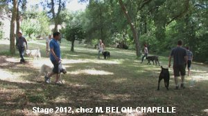 Stage chez M. BELOU-CHAPELLE